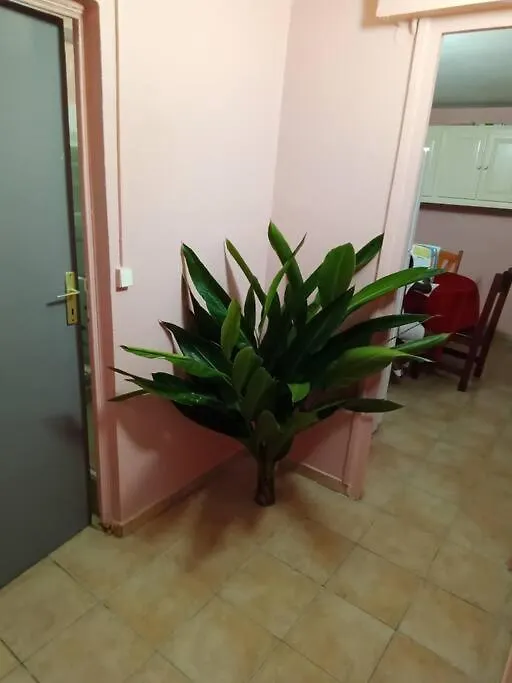 Casa de Férias Vacances Agreables C'Est Ici Les Abymes Guadalupe